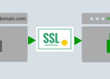 SSL là gì và tại sao nó quan trọng cho bảo mật website của bạn?