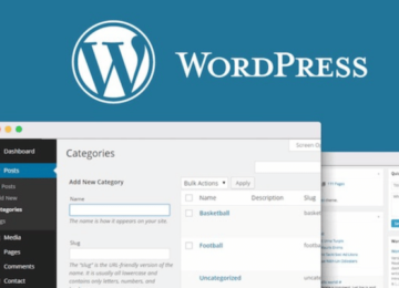 5 lưu ý trước khi lựa chọn thiết kế website WordPress